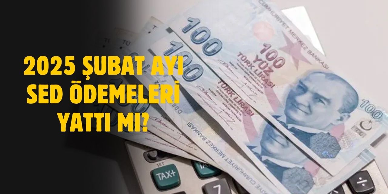 2025 Şubat ayı SED ödemeleri hesaplara yattı!