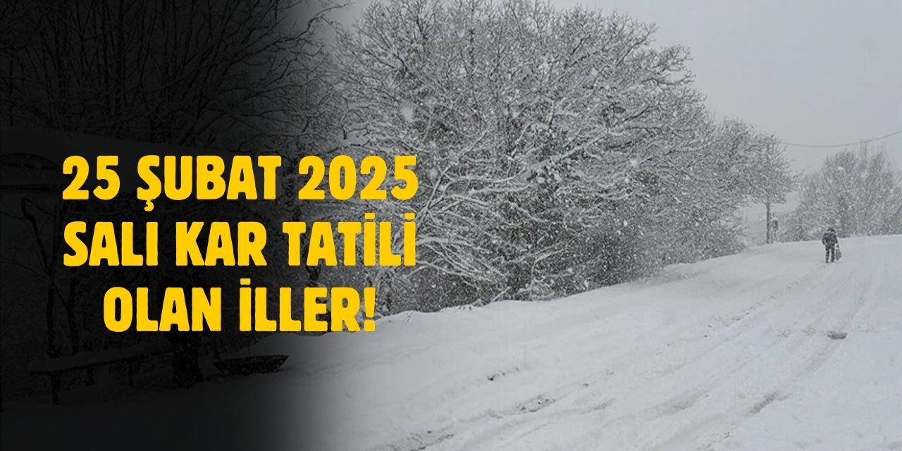 Yarın hangi illerde okullar tatil! Yarın okullar tatil mi? 25 Şubat kar tatili olan iller