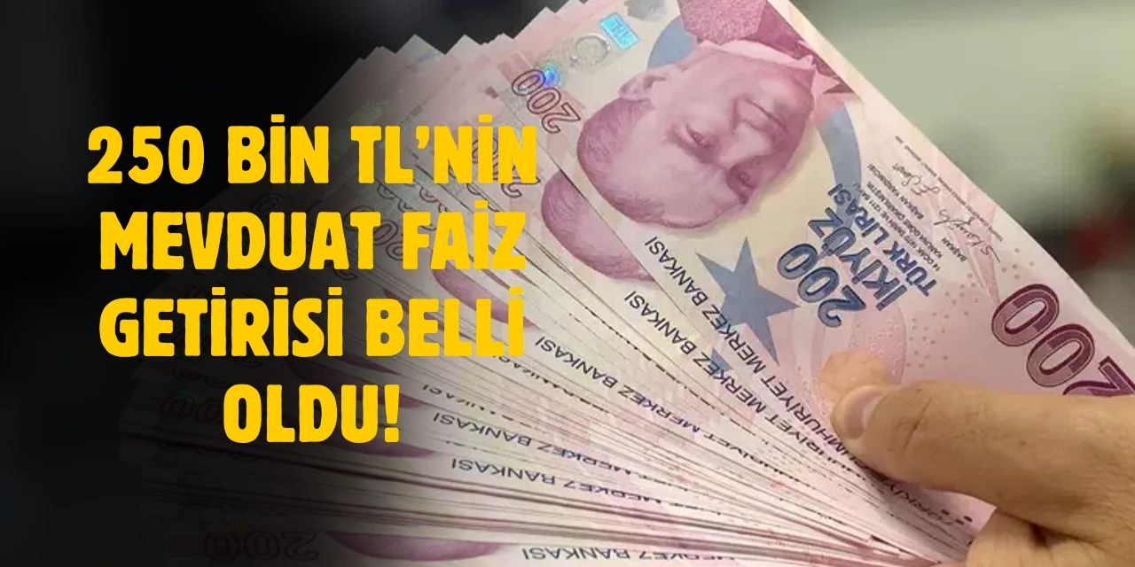 Bankalarda 250 bin TL'nin mevduat faiz getirisi belli oldu!