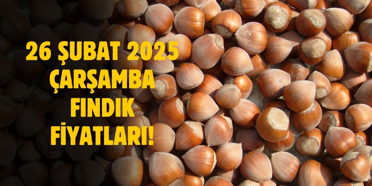 26 Şubat 2025 Çarşamba fındık fiyatları! İl il fındık fiyatları