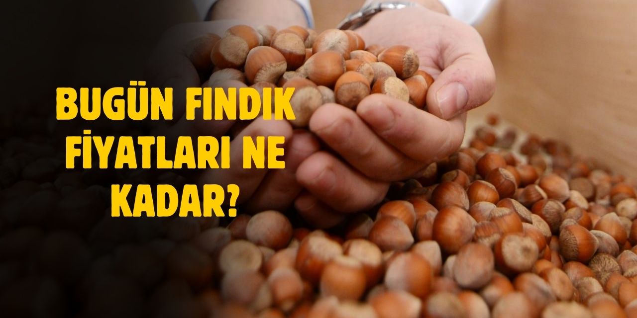 27 Şubat 2025 Perşembe fındık fiyatları! İl il güncel fındık fiyatları