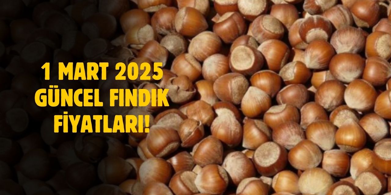 1 Mart 2025 Serbest Piyasada Güncel Fındık Fiyatları: Samsun, Ordu, Sakarya, Trabzon