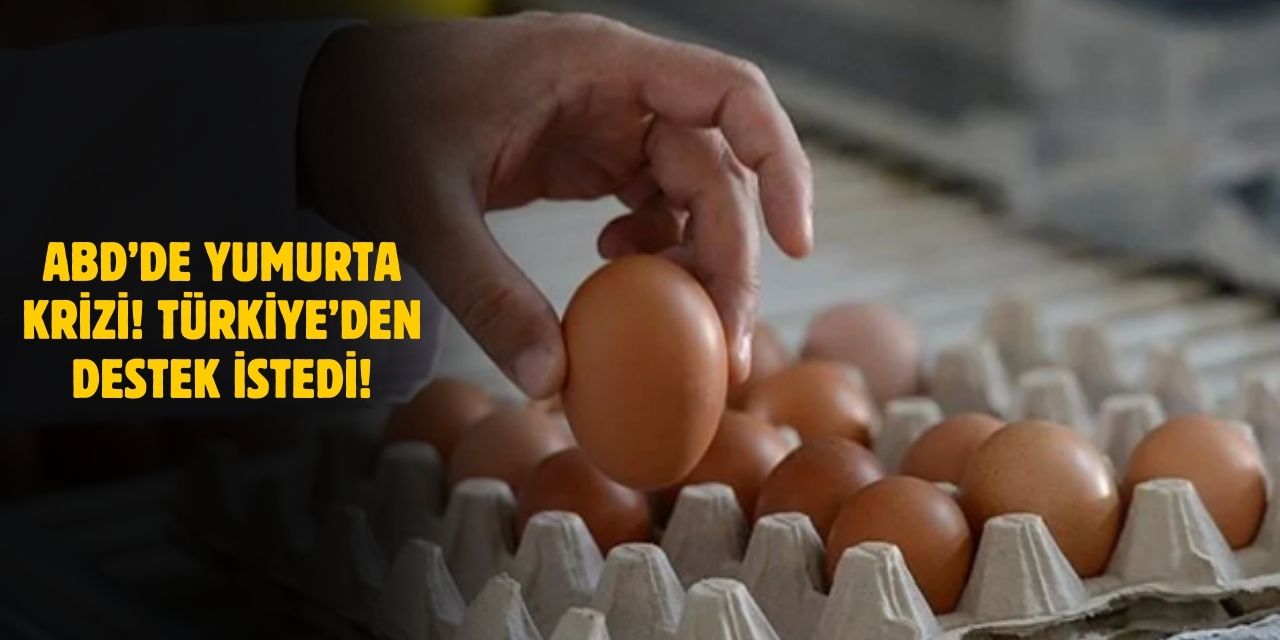 ABD’de Yumurtada Kriz Büyüyor! Türkiye'den Yardım Talebi!