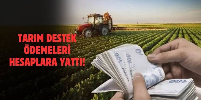 Tarım Destek Ödemeleri Çiftçilerin Hesaplarına Yatırıldı!