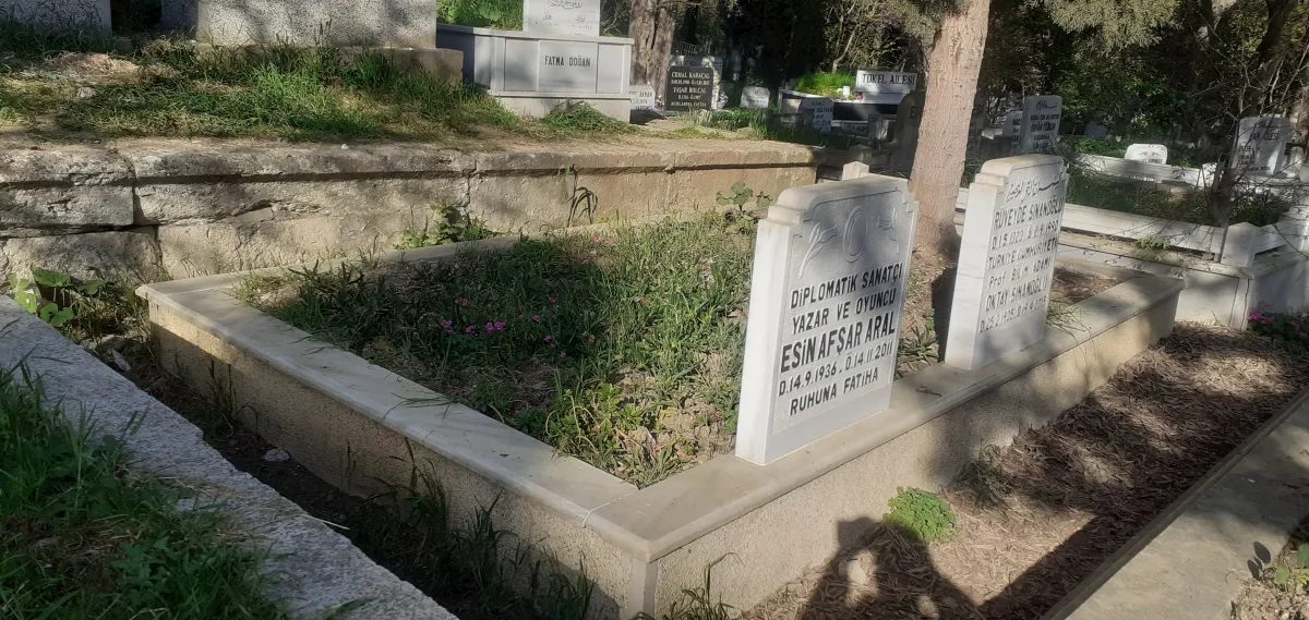 Esin Afşar'ın müzik, tiyatro ve yazarlık kariyeriyle tanınan sanatçı portresi