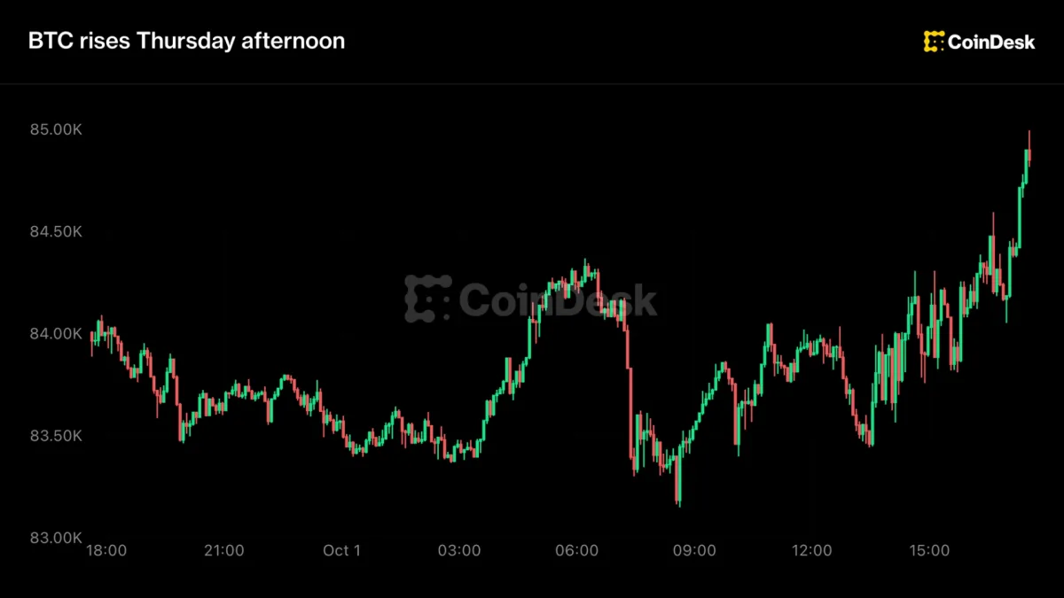 Bitcoin rises as U.S. Treasury yields ease and Fed expectations cool