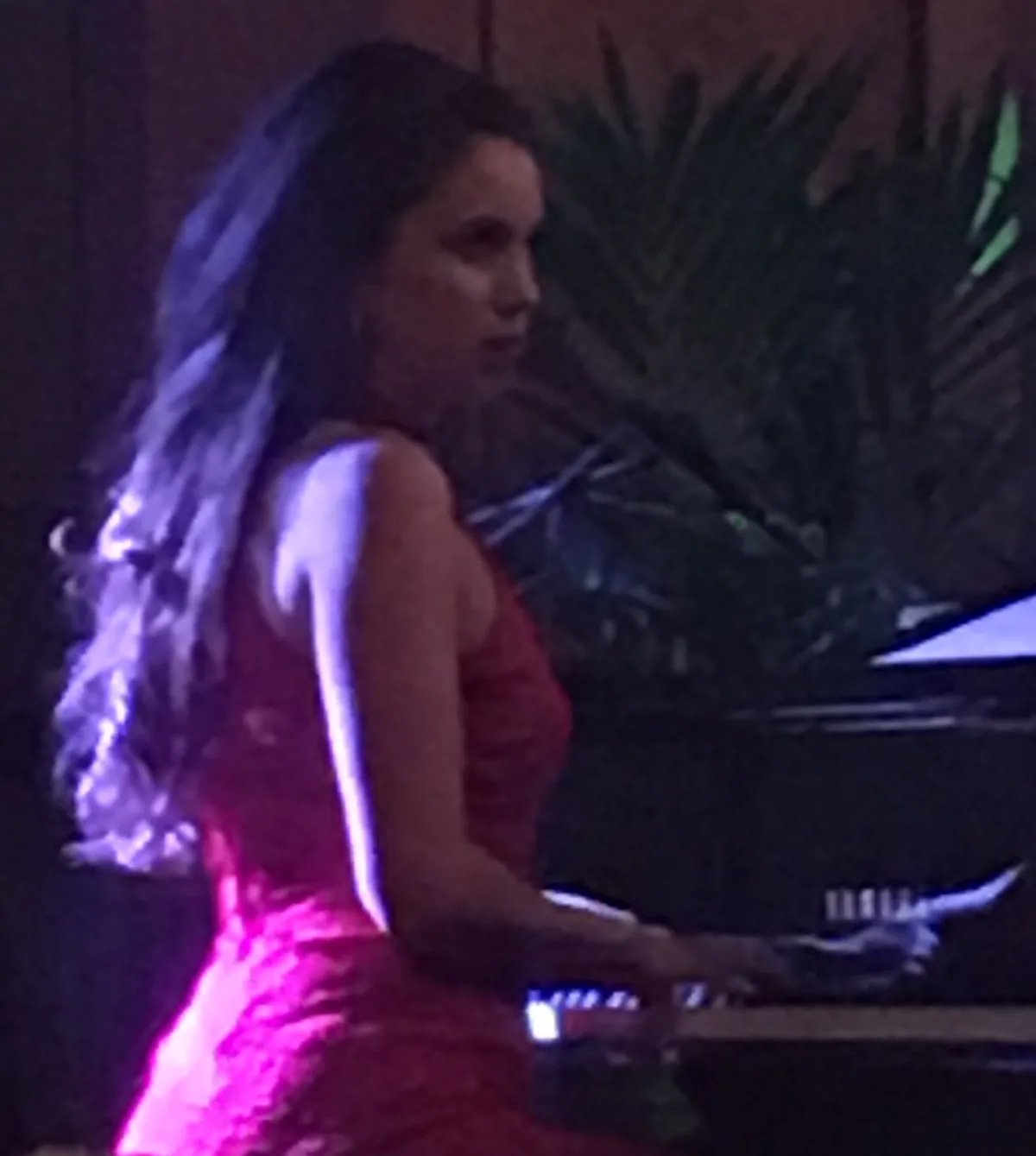 Amsterdam doğumlu şarkıcı ve piyanist Karsu Dönmez'in sahne performansından bir görünüm