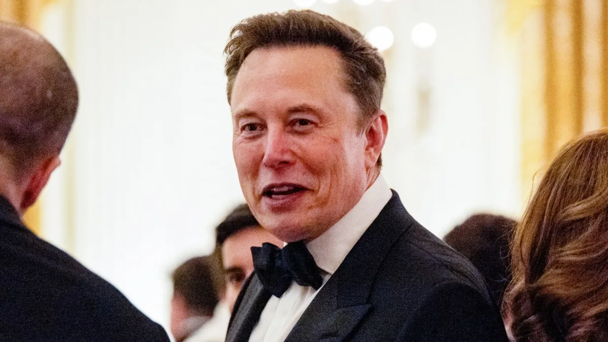 SpaceX and Elon Musk stock rally graphic